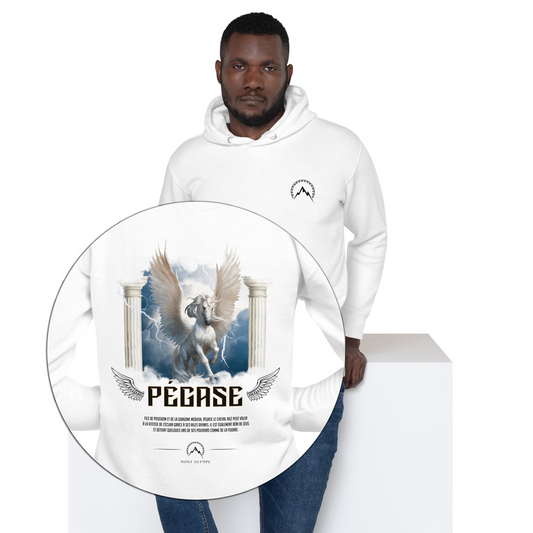 Sweat Pégase Streetwear <br> mythologie grecque