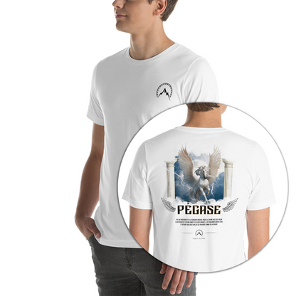 Pegasus Streetwear T-Shirt<br> Greek mythology