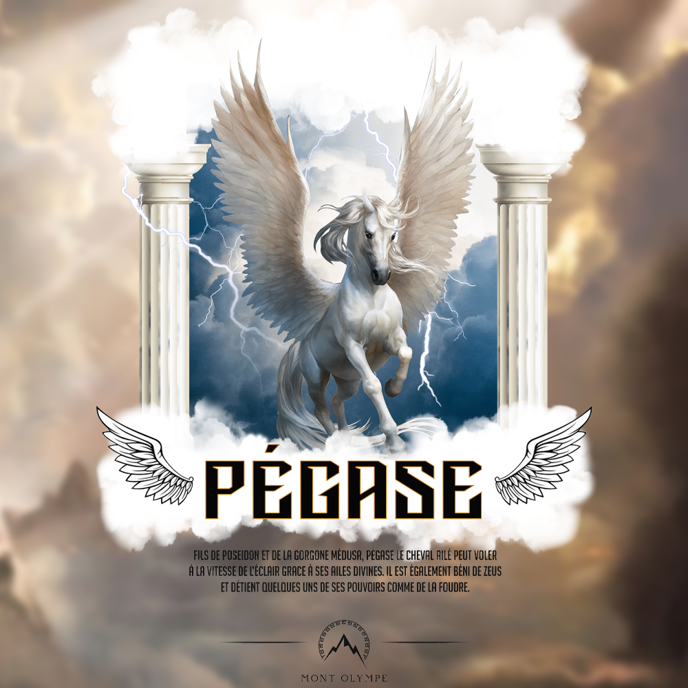 Pegasus Streetwear T-Shirt<br> Greek mythology